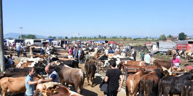 Kurban kesim ücretleri belirlendi