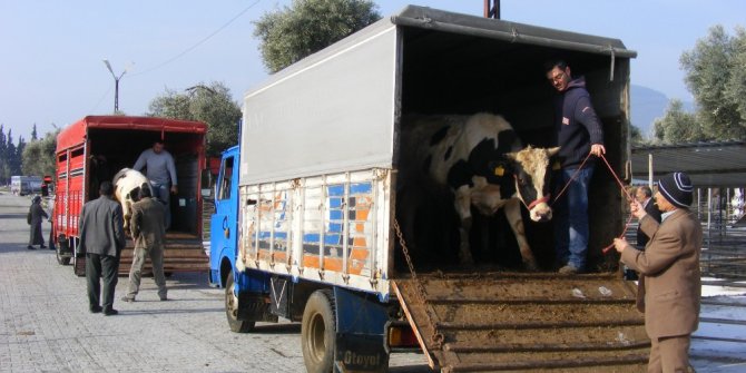 Söke’de Kurban Bayramı hazırlıkları tamamlandı