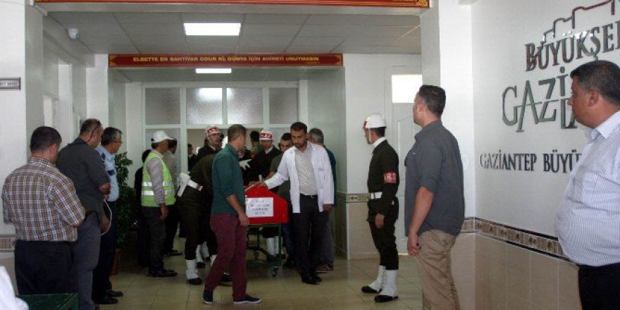 Şehitler, Memleketlerine Gönderildi