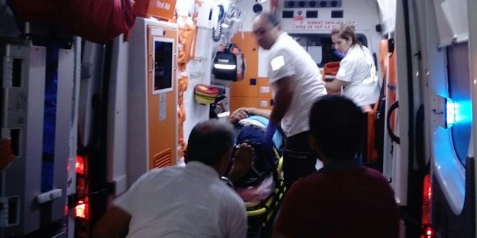 Kopan dorseden kaçarken ağaca çarptı: 1 yaralı
