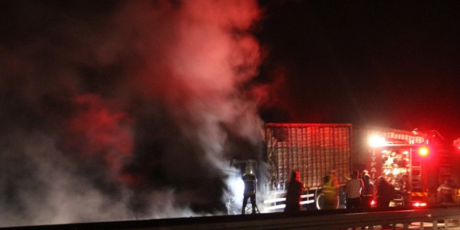 Kamyonda çıkan yangında tavuklar telef oldu