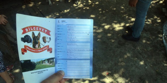 Köpeği çelik iple astılar