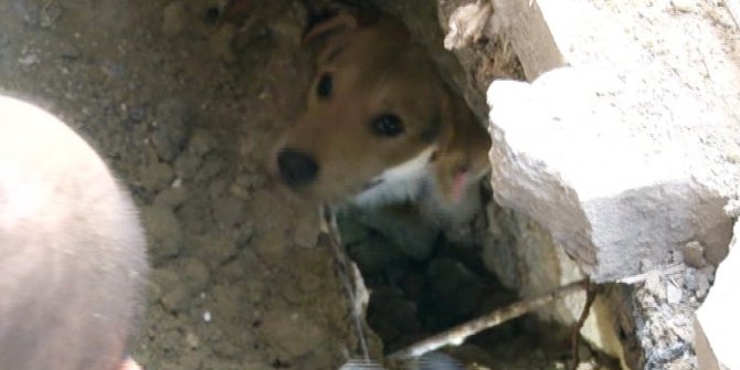 İnşaat işçilerinin dikkati hayat kurtardı