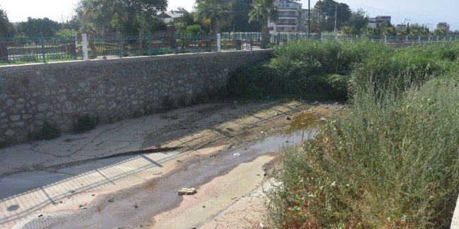 Nazilli’de Dereköy Çayı yatağı temizlendi