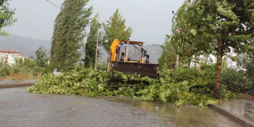 Osmancık’ta Fırtına Ölüme Yol Açtı
