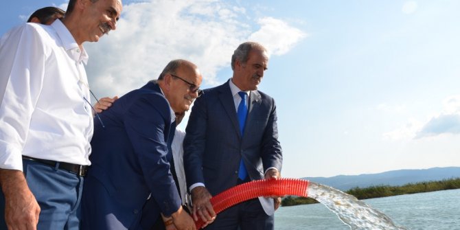 200 bin yavru sazan İznik Gölü ile buluştu