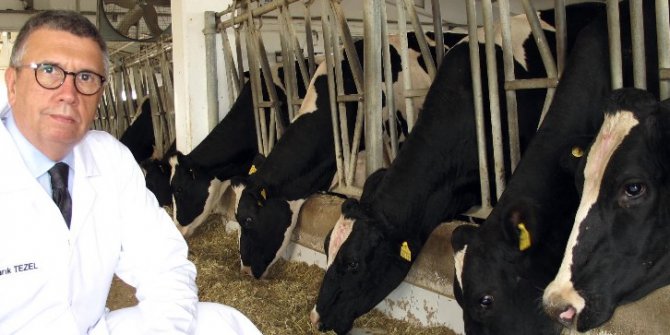 “Kurban Bayramı’nda dişi hayvan kesmeyin"