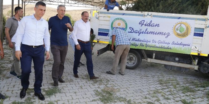 Gölbaşı’nda bayram öncesi 10 bin sarıçam fidanı dağıtılıyor