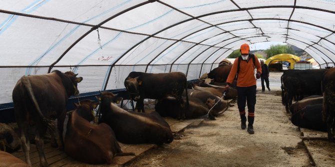 Büyükşehir’den kurbanlık alanlarında ilaçlama