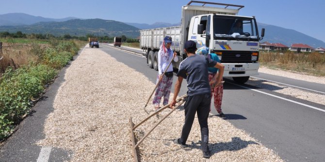 Ayçekirdeğini kurutmak için çevre yolunu kapattılar
