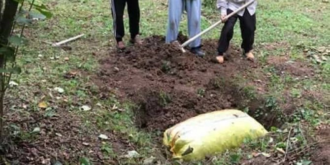 Fındık üreticilerinden ilginç protesto