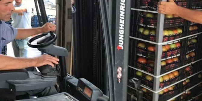 Çameli domatesinin pazarı genişliyor