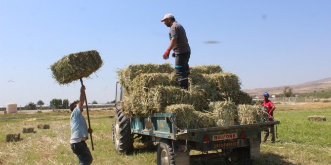 Alaşehir Belediyesi’nden hayvan üreticilerine destek