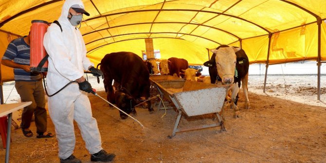 Talas’ta kurban pazar yerleri ilaçlandı
