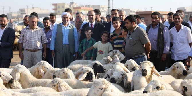 Çiftçi hayvan pazarında satıcıları dinledi