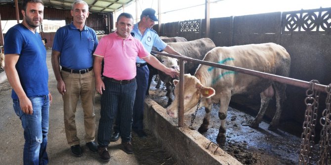 Kartepe’de kurban bayramı denetimi hızlandı