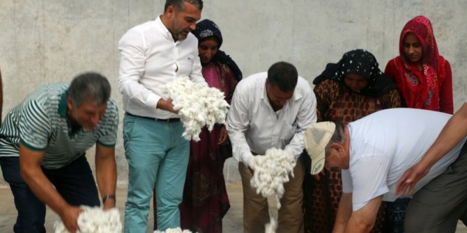 Pamuk tükenince borsada işlemler durdu