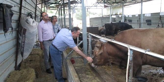 İl Gıda Tarım Ve Hayvancılık Müdürü Yıldız’dan kurbanlık uyarısı