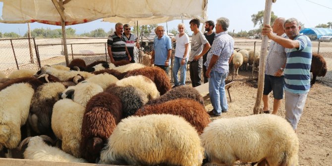 Mezitli Belediyesi Kurban Bayramı’na hazır
