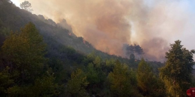 Antalya’da orman yangını