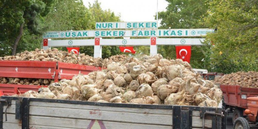 Okur; "Bizim Geleceğe Yönelik Heyecanlarımızı Baltalamaya Çalışıyorlar"