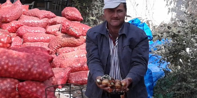 Soğan yüz güldürdü