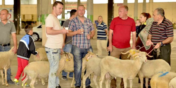 Tepebaşı Kurban Bayramı’na hazır