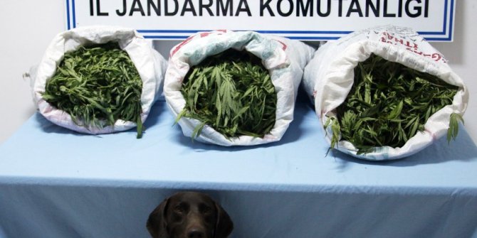 Adana’da uyuşturucu ile yakalanan 4 kişi tutuklandı