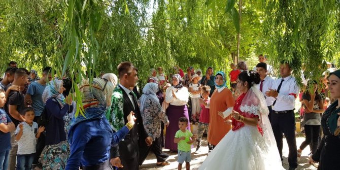 Sultan Sazlığı, yeni evlenen çiftlerin gözdesi oldu