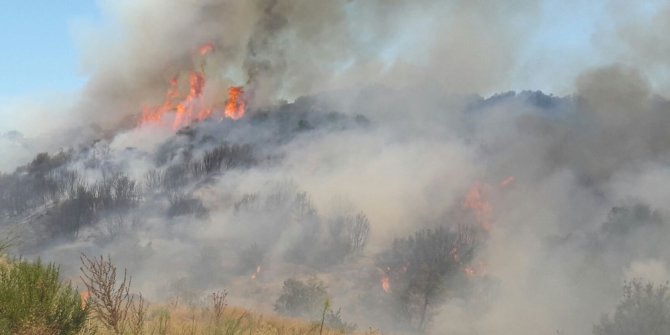 Reklam tabelası çalışması faciaya neden oldu