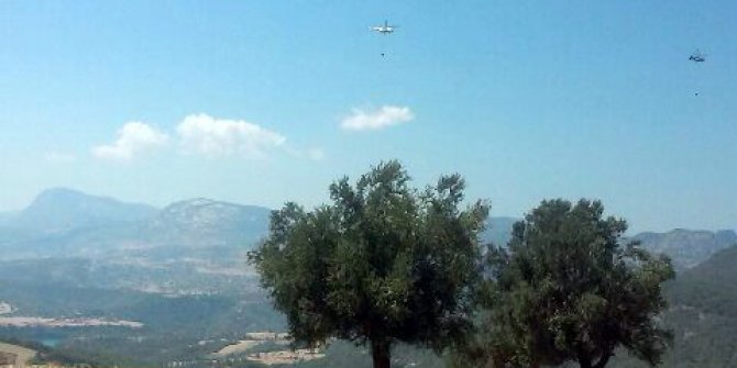 Adana’da orman yangını