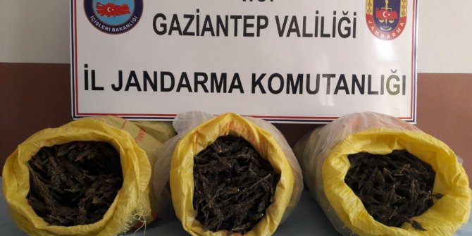 Gaziantep’te yol uygulamasında 15 kilo esrar ele geçirildi