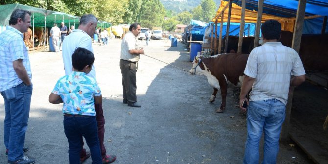 Kurbanlıklarda “Arife Günü” umudu