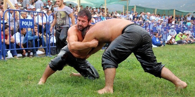Tekkeköy, yağlı güreşlere hazır