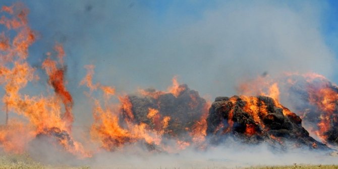 Horasan’da 15 bin balya ot yanarak kül oldu