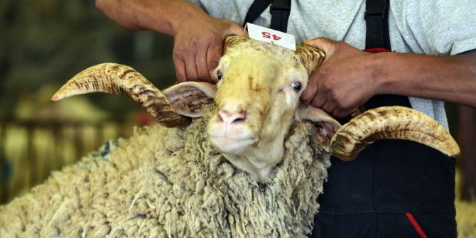 Bayramınız kabusa dönüşmesin