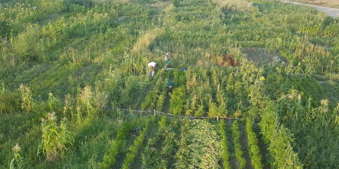 Kayseri Şeker’den çalışanlarına hobi bahçesi