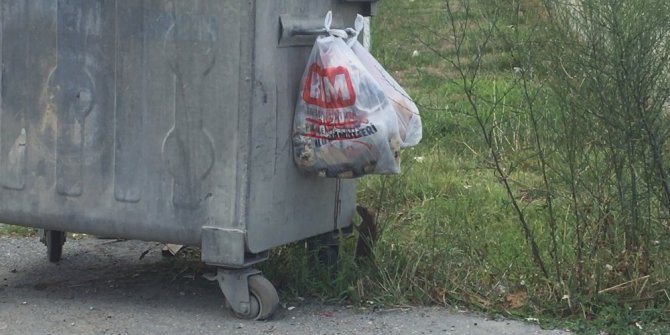 Farenin yiyecek azmi