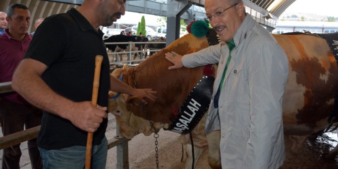 Balıkesir’in en büyük kurbanlığının pazarlığına başkan desteği