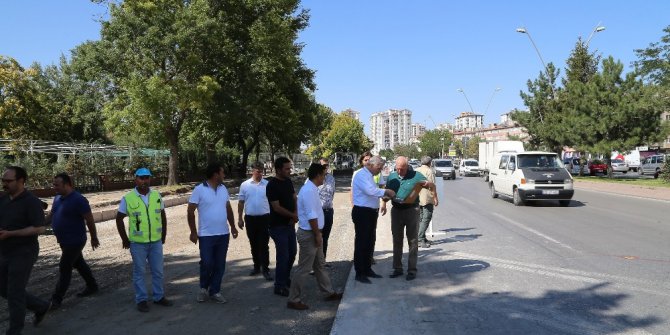 Büyükşehir Belediyesi, ağaçların kesilmemesi için projeyi değiştirdi