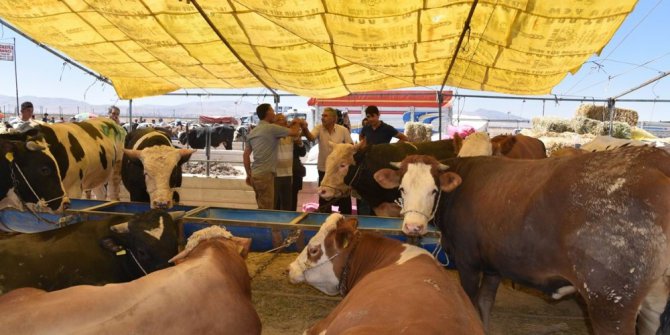 Selçuklu kurban pazarında bayram bereketi