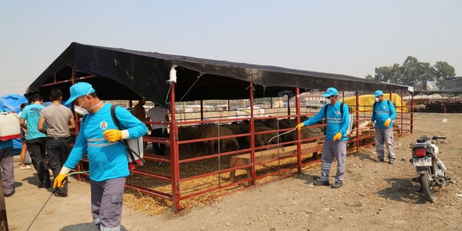 Kurbanlık satış ve kesim merkezleri ilaçlanıyor