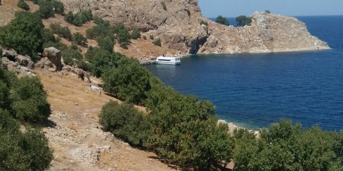 Akdamar Adası’nda çevre temizliği