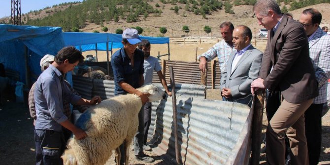 Vali Gül, kurban pazarını gezdi