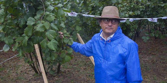 Ferrero, fındığı markaja aldı