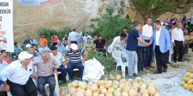 Darende’de kavun festivali yapıldı