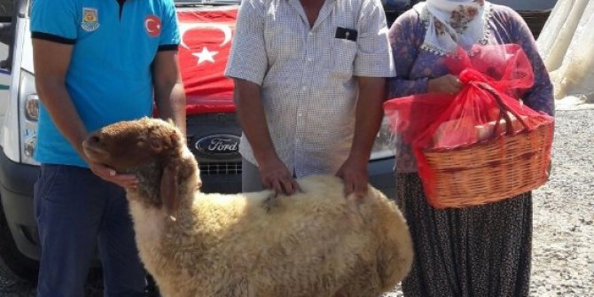 Tarsus Belediyesi 68 şehit ailesine kurban dağıttı