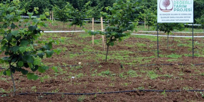 Ferrero Fındık Genel Müdürü Stefano Gagliasso: