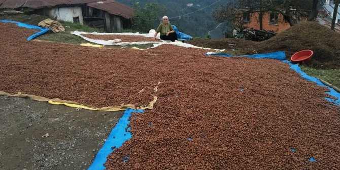 Üreticiler harmanlarda