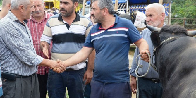 Kurbanlıklar fındığa takıldı